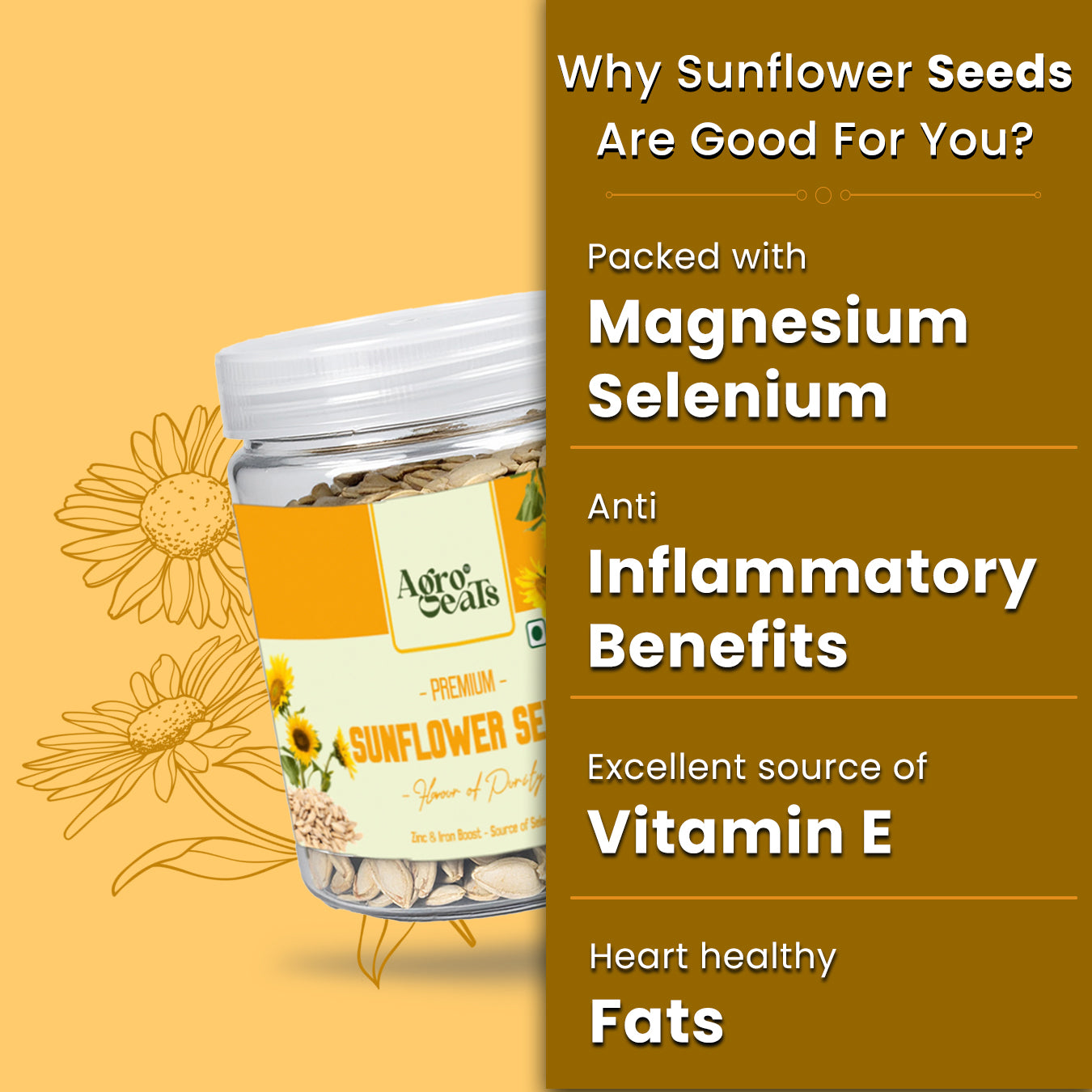 AGROEATS SEEDS 100g JAR | Raw & Edible | High in Protein, Fiber & Vitamins | Non-GMO | Healthy Snack & Diet Food | Nutrient-Rich Seeds for Cooking & Eating (100G, SUNFLOWER)